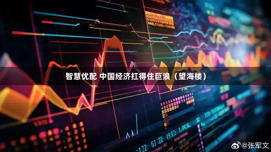 智慧优配 中国经济扛得住巨浪（望海楼）