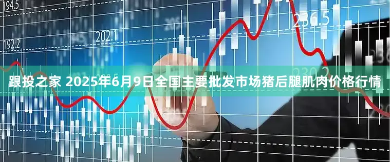 跟投之家 2025年6月9日全国主要批发市场猪后腿肌肉价格行情